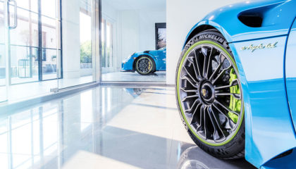rim protector rim ringz